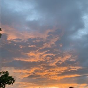 RESERVED DO NOT BUY Brandy floral scrunchies